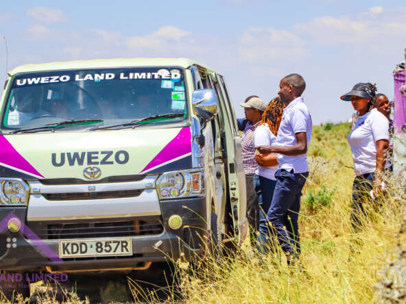 Nanyuki plots